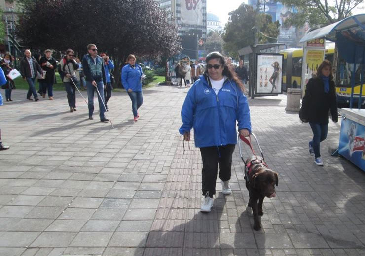 Vesna Nestorović Coka