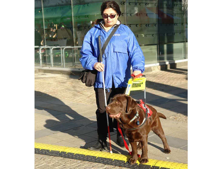 Vesna Nestorović Coka