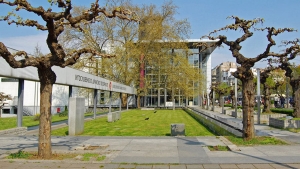 Novum i globalno pozori&scaron;te, između komodifikacije i umetničke nužnosti