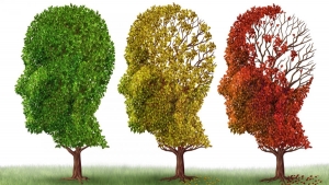 Demencija &ndash; rani simptomi i lek iz prirode