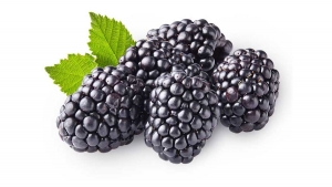 &Scaron;ta se sve krije u kupinama