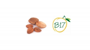 Vitamin B17 iz ko&scaron;tica kajsije uni&scaron;tava ćelije raka, dokazuje i nauka